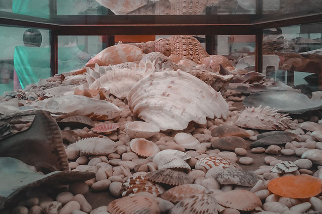 做菲律賓TikTok小黃車要用怎樣的海外網(wǎng)絡線路？